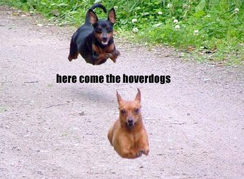 http://forum.noblerealms.org/pics/540_hoverdogs.jpg