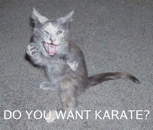 http://forum.noblerealms.org/pics/540_karate.jpg