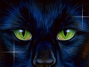 http://forum.noblerealms.org/pics/555_cat_eyes.jpg