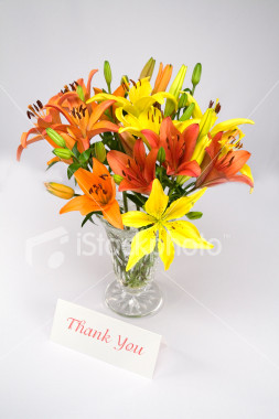 http://forum.noblerealms.org/pics/555_flowers.jpg