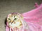Timekitty